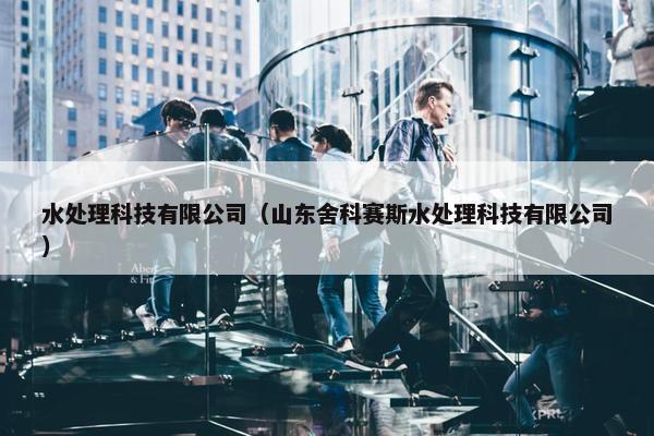 水处理科技有限公司(山东舍科赛斯水处理科技有限公司) 水处理科技有限公司(山东舍科赛斯水处理科技有限公司)