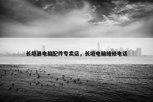 长垣县电脑配件专卖店，长垣电脑维修电话