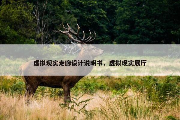 虚拟现实走廊设计说明书，虚拟现实展厅