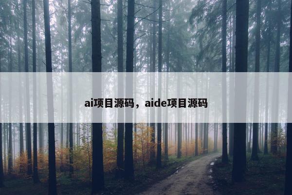 ai项目源码，aide项目源码