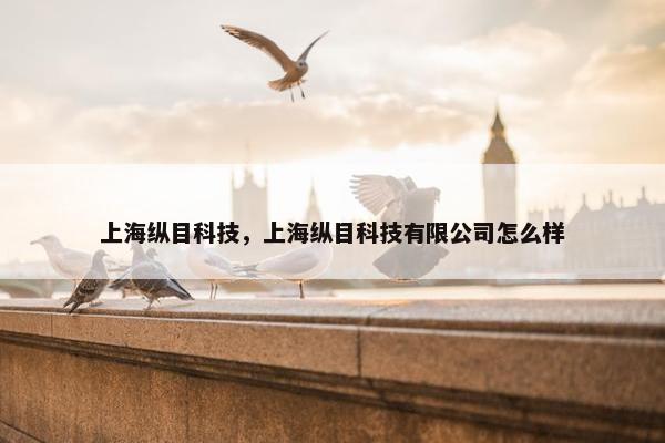 上海纵目科技，上海纵目科技有限公司怎么样