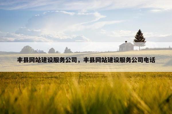 丰县网站建设服务公司，丰县网站建设服务公司电话