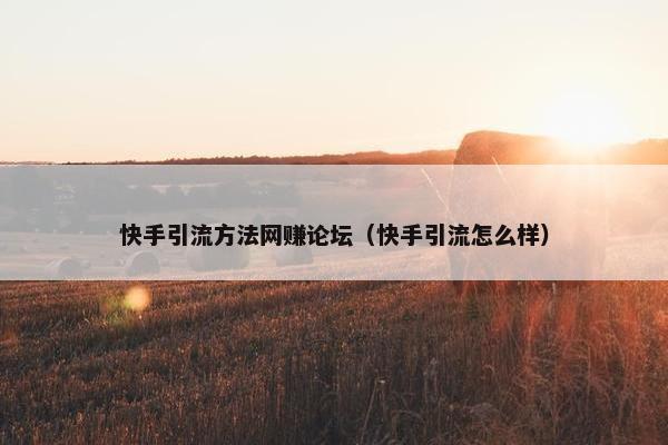 快手引流方法网赚论坛（快手引流怎么样）