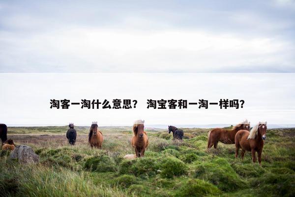 淘客一淘什么意思？ 淘宝客和一淘一样吗？