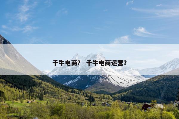千牛电商？ 千牛电商运营？