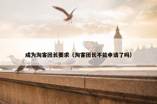 成为淘客团长要求（淘客团长不能申请了吗）