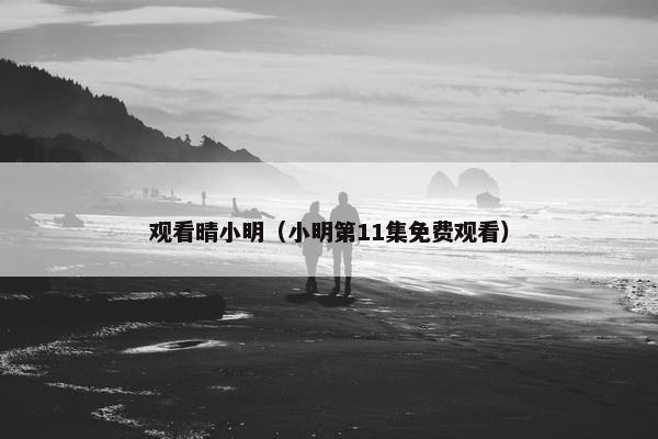 观看晴小明（小明第11集免费观看）