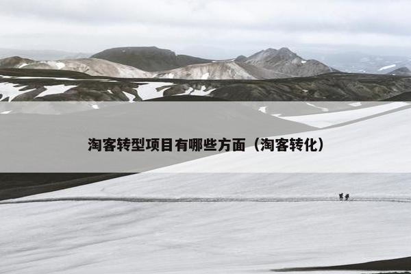 淘客转型项目有哪些方面（淘客转化）