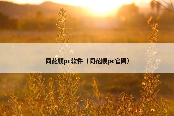 同花顺pc软件（同花顺pc官网）