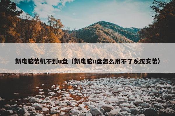新电脑装机不到u盘（新电脑u盘怎么用不了系统安装）