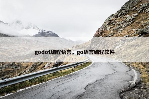 godot编程语言，go语言编程软件
