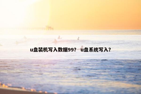 u盘装机写入数据99？ u盘系统写入？