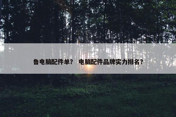 鲁电脑配件单？ 电脑配件品牌实力排名？