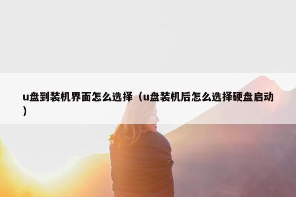 u盘到装机界面怎么选择(u盘装机后怎么选择硬盘启动)