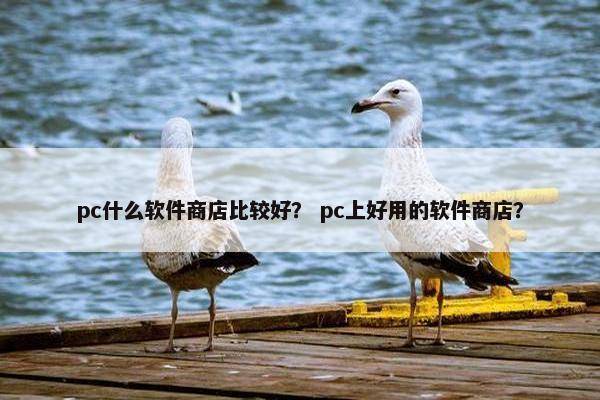 pc什么软件商店比较好？ pc上好用的软件商店？