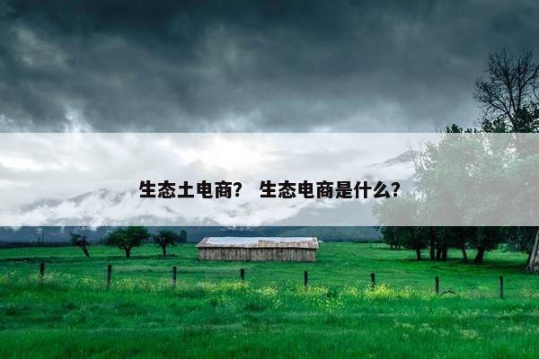 生态土电商？ 生态电商是什么？