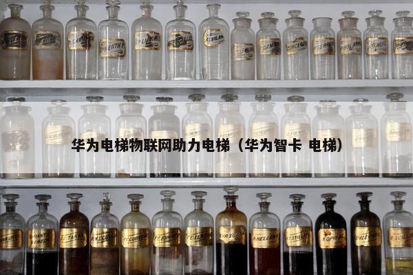 华为电梯物联网助力电梯（华为智卡 电梯）