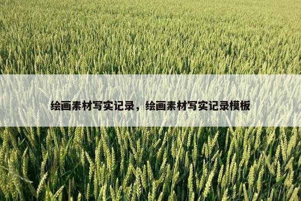 绘画素材写实记录，绘画素材写实记录模板