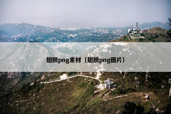 翅膀png素材（翅膀png图片）