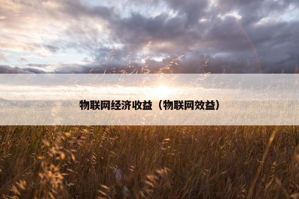 物联网经济收益（物联网效益）