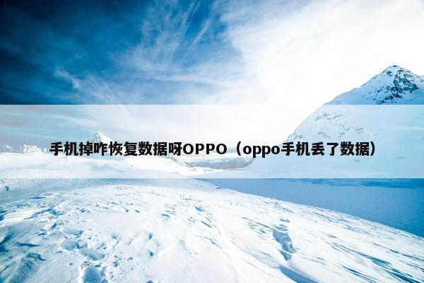 手机掉咋恢复数据呀OPPO(oppo手机丢了数据)