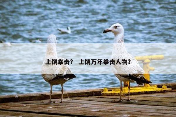 上饶拳击？ 上饶万年拳击人物？