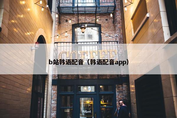 b站韩语配音（韩语配音app）