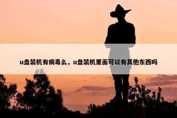 u盘装机有病毒么，u盘装机里面可以有其他东西吗