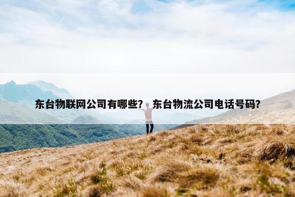 东台物联网公司有哪些？ 东台物流公司电话号码？