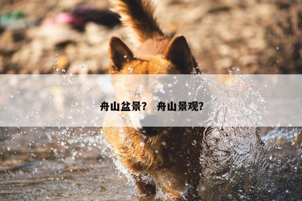 舟山盆景? 舟山景观? 舟山盆景? 舟山景观?