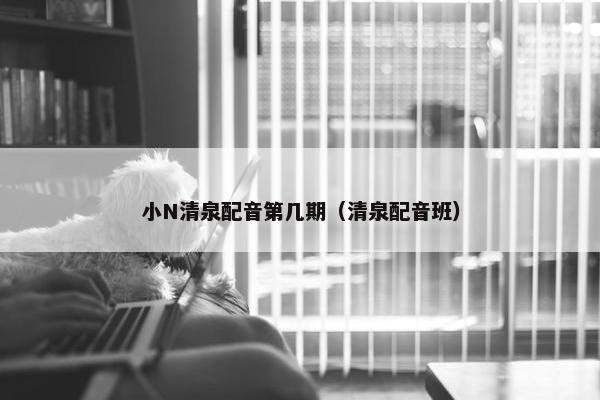 小N清泉配音第几期(清泉配音班) 小N清泉配音第几期(清泉配音班)