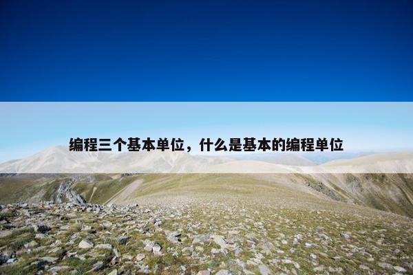 编程三个基本单位，什么是基本的编程单位