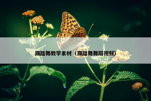 踢踏舞教学素材（踢踏舞舞蹈视频）