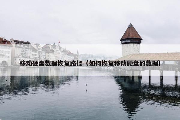 移动硬盘数据恢复路径（如何恢复移动硬盘的数据）