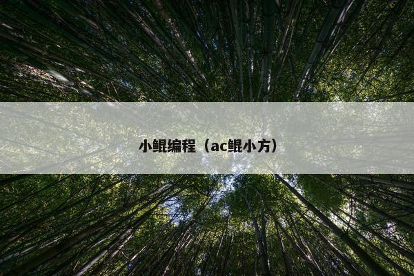 小鲲编程（ac鲲小方）