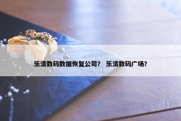 乐清数码数据恢复公司？ 乐清数码广场？
