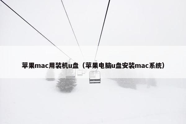 苹果mac用装机u盘（苹果电脑u盘安装mac系统）