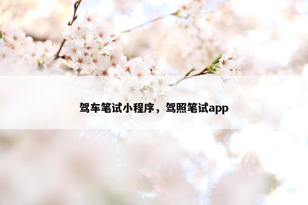 驾车笔试小程序，驾照笔试app