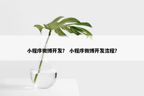 小程序微博开发? 小程序微博开发流程?