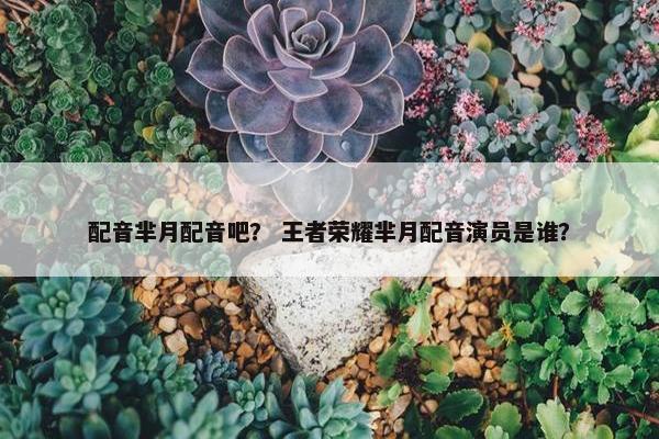 配音芈月配音吧？ 王者荣耀芈月配音演员是谁？