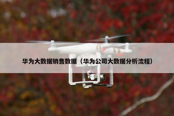 华为大数据销售数据（华为公司大数据分析流程）