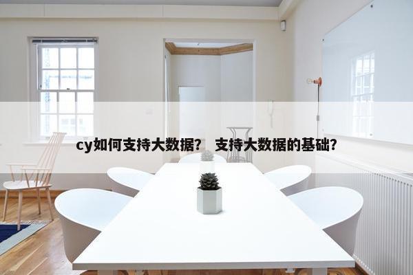 cy如何支持大数据？ 支持大数据的基础？