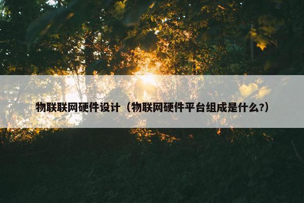 物联联网硬件设计（物联网硬件平台组成是什么?）