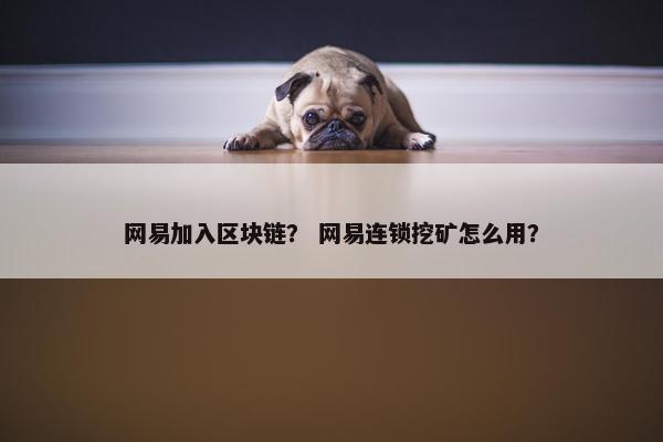 网易加入区块链？ 网易连锁挖矿怎么用？