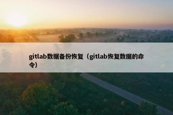 gitlab数据备份恢复（gitlab恢复数据的命令）