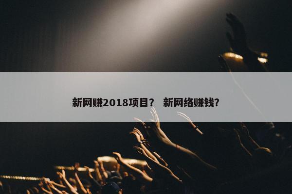 新网赚2018项目？ 新网络赚钱？
