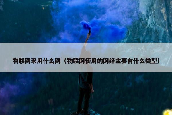 物联网采用什么网(物联网使用的网络主要有什么类型)