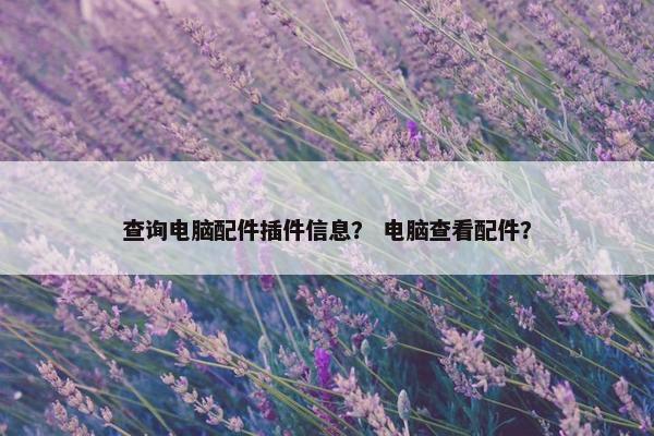 查询电脑配件插件信息？ 电脑查看配件？