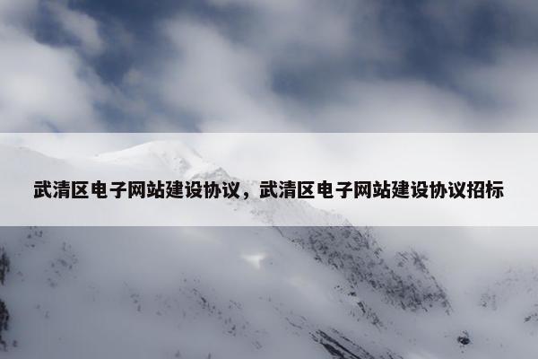 武清区电子网站建设协议，武清区电子网站建设协议招标