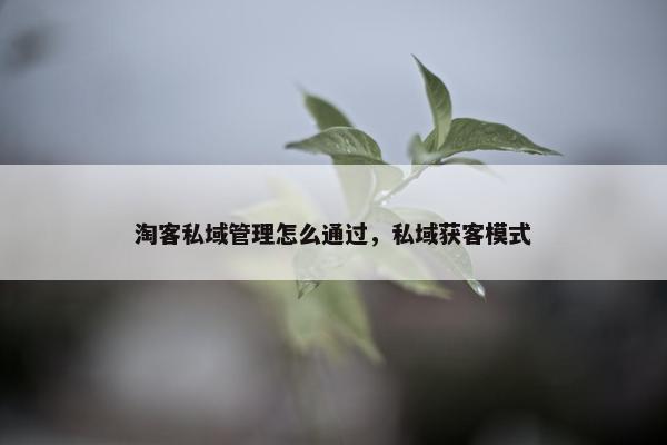 淘客私域管理怎么通过，私域获客模式